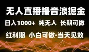 无人直播撸音浪掘金，日入1k+，纯无人红利期，小白可做，当天见效【揭秘】-一起网赚吧