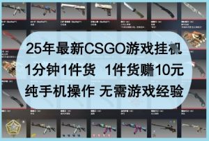 25年最新CSGO游戏挂G，1分钟1件货，1件货挣10元，纯手机操作，无需游戏经验【揭秘】-一起网赚吧