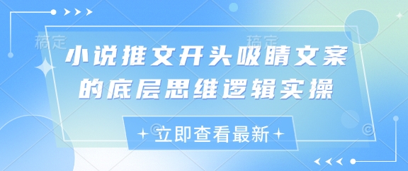 小说推文开头吸睛文案的底层思维逻辑实操-一起网赚吧