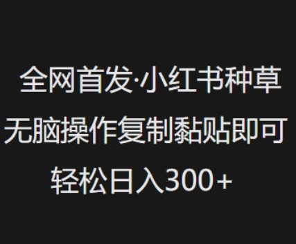 全网首发，小红书种草无脑操作，复制黏贴即可，轻松日入3张-一起网赚吧
