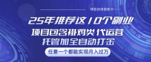 25年推荐这10个副业项目包含褂鸡类、代运营托管类、全自动打金类【揭秘】-一起网赚吧