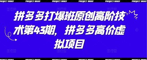 拼多多打爆班原创高阶技术第43期，拼多多高价虚拟项目-一起网赚吧