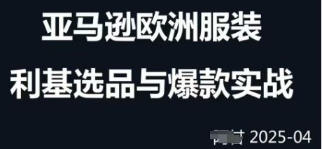 跨境电商选品案例24-25年，聚焦跨境电商选品策略与运营优化，助力卖家挖掘蓝海市场-一起网赚吧