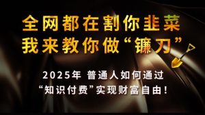 全网都在割你韭菜，我来教你做镰刀,2025普通人如何通过知识付费，实现财F自由【揭秘】-一起网赚吧