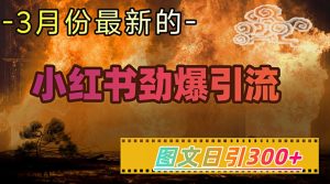 小红书超劲爆引流手段，图文日引300+轻松变现1W-一起网赚吧