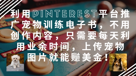 利用Pinterest平台推广宠物训练电子书，不用创作内容，只需要每天利用业余时间，上传宠物图片就能挣美金!-一起网赚吧