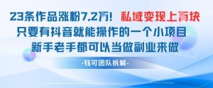 抖音私域项目23条作品涨粉7.2W，私域变现1W-一起网赚吧