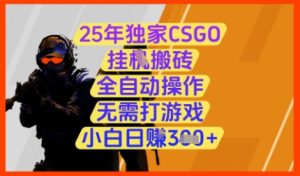 25年独家CSGO挂G搬砖，全自动操作，无需打游戏，小白日入3张+【揭秘】-一起网赚吧