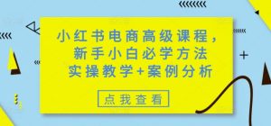 小红书电商高级课程，新手小白必学方法，实操教学+案例分析-一起网赚吧
