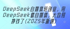 DeepSeek自媒体轻创业，用DeepSeek做自媒体，太容易挣钱了(2025年新课)-一起网赚吧