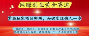 网创副业黄全赛道,掌握独家项目密码,知识变现快人一步,告别韭菜轻松实现单日变现1k+【揭秘】-一起网赚吧