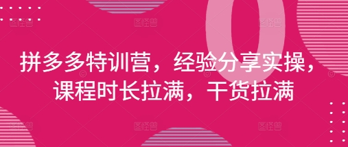 拼多多特训营，经验分享实操，课程时长拉满，干货拉满(更新25年4月)-一起网赚吧