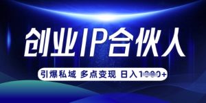 云帆·创业ip合伙人打造3.0,从0到1教你做网创,实现月入过W-一起网赚吧