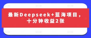 最新Deepseek+蓝海项目，十分钟收益2张-一起网赚吧