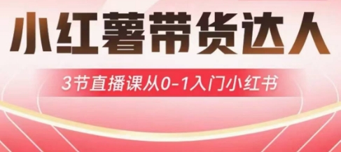 小红薯达人带货启航计划，3节直播课从0-1入门小红书-一起网赚吧