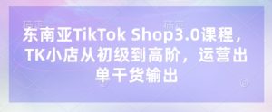 东南亚TikTok Shop3.0课程,TK小店从初级到高阶,运营出单干货输出-一起网赚吧