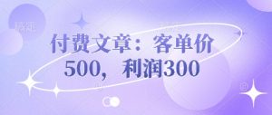 付费文章：客单价500，利润300-一起网赚吧