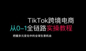 TikTok跨境电商从0-1全链路全方位实操教程，把握多元变化中的全球生意机会-一起网赚吧
