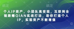 个人IP资产，小团队高变现，互联网全链路赚QIAN实战打法，助你打造个人IP，实现资产不断增值-一起网赚吧