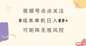 视频号点点关注，0成本单号80+，可矩阵，绿色正规，长期稳定【揭秘】-一起网赚吧