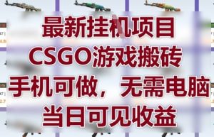 最新挂G项目，CSGO游戏搬砖，手机可做，无需电脑，当日见收益【揭秘】-一起网赚吧