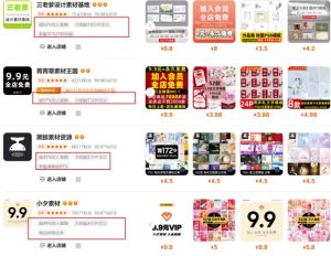 0成本虚拟项目实战手把手教你落地，单店月入5k-一起网赚吧