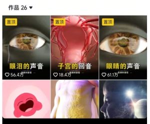 抖音坚果3D动画科普项目，撸视频号分成和抖音伙伴计划，适合零基础小白-一起网赚吧