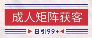 小红书某音橙人赛道引流获客，自热矩阵日引200+【揭秘】-一起网赚吧