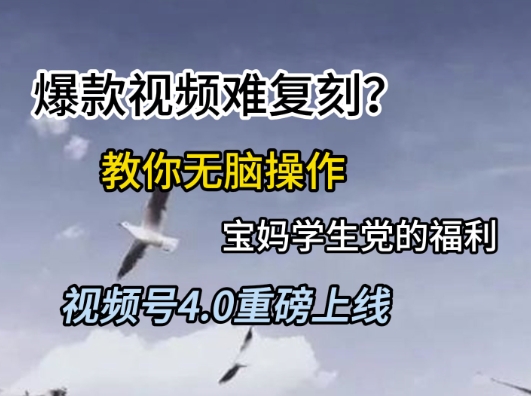 视频号4.0重磅上线，爆款视频难复刻？教你无脑操作宝妈学生党的福利【揭秘】-一起网赚吧