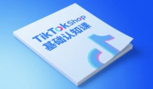 TikTok小店基础认知课，助力学员从 0 到 1 掌握 TikTok 电商运营全链路认知-一起网赚吧