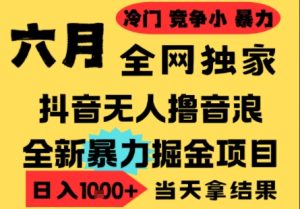 25年6月高爆抖音无人直播最新撸音浪掘金项目，小白可做，无脑日入1k+，门槛低可批量矩阵【揭秘】-一起网赚吧