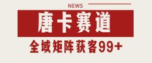 小红书某音唐卡赛道引流获客 自热矩阵日引200+【揭秘】-一起网赚吧