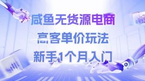 咸鱼无货源电商,高客单价玩法,新手1个月入门-一起网赚吧