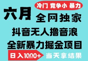 2025年6月高爆抖音无人直播最新撸音浪掘金项目，无脑日入1k+，低门槛小白可做，可矩阵放大【揭秘】-一起网赚吧