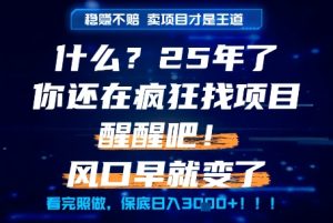 什么?25年你还在疯狂找项目做,醒醒吧,看完这些你全都懂了!【揭秘】-一起网赚吧