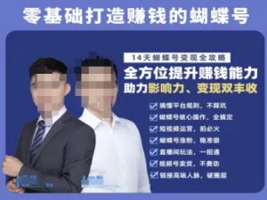 蝴蝶号专栏-视频号运营教程，零基础打造挣钱的蝴蝶号，14天蝴蝶号变现全攻略-一起网赚吧