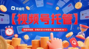 【视频号托管 】我提供视频,你每天花5分钟发布,最高躺挣2W+【揭秘】-一起网赚吧