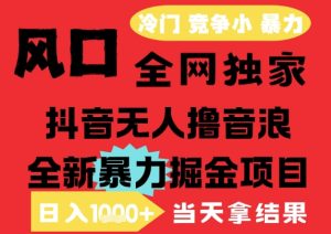 25年6月高爆抖音无人直播最新撸音浪掘金项目,解放双手小白可做,无脑日入1k+,门槛低【揭秘】-一起网赚吧