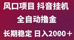 风口项目，六月最新玩法抖音无人挂G，全自动撸金，长期稳定 日入2k+【揭秘】-一起网赚吧