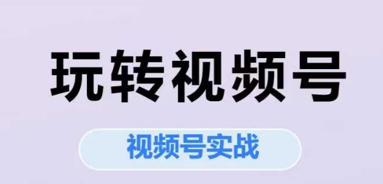 玩转视频号，视频号实战系列课-一起网赚吧