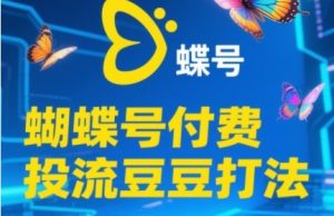 2025蝴蝶号付费投流豆豆打法,助新手快速掌握付费流量撬动自然流的核心玩法-一起网赚吧