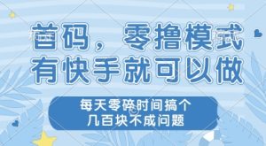 首码零撸项目,有快手就可以做,每天业务时间搞个几张不是问题【揭秘】-一起网赚吧