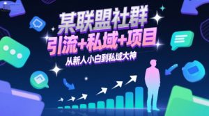 某联盟社群，引流+私域+项目，从新人小白到私域大神-一起网赚吧