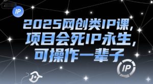 2025网创类IP课，项目会死IP永生，可操作一辈子-一起网赚吧
