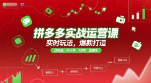 拼多多实战运营课,实时玩法,爆款打造,改销量,补大单,AB单,直播等(更新2025月)-一起网赚吧