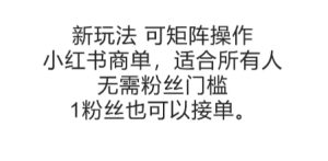 可矩阵操作，小红书商单新玩法，适合所有人，无需粉丝门槛，1粉丝也可以接单-一起网赚吧