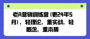 老A营销训练营(更25年6月),轻理论,重实战,轻概念,重本质-一起网赚吧