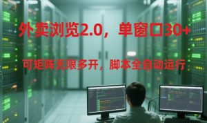 外卖浏览2.0，单窗口30+可矩阵无限多开，脚本全自动运行【揭秘】-一起网赚吧
