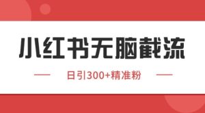 小红书截流同行客源，独家野路子获客玩法 日引200+暴力获客【揭秘】-一起网赚吧