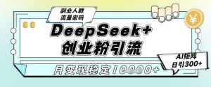 DeepSeek+创业粉精准引流，全新分享课4.0玩法，AI矩阵日引300+，多种变现方式，稳定月入1W-一起网赚吧